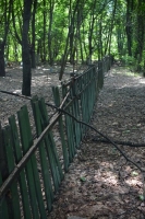 20130619_1125_dsc_3912-reduced30