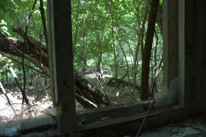 20130619_1131_dsc_3934-reduced30