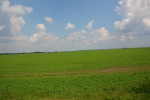 20130607_1416_dsc_3401-reduced30