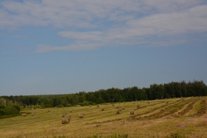 20130712_0806_dsc_5003-reduced30