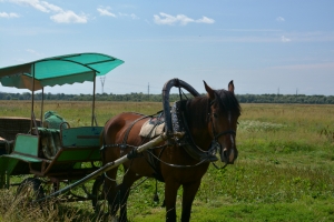 20130714_1017_dsc_5102-reduced30