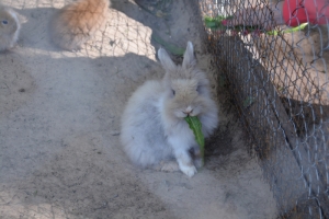 20130718_1444_dsc_5462-reduced30