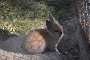 20130718_1444_dsc_5465-reduced30