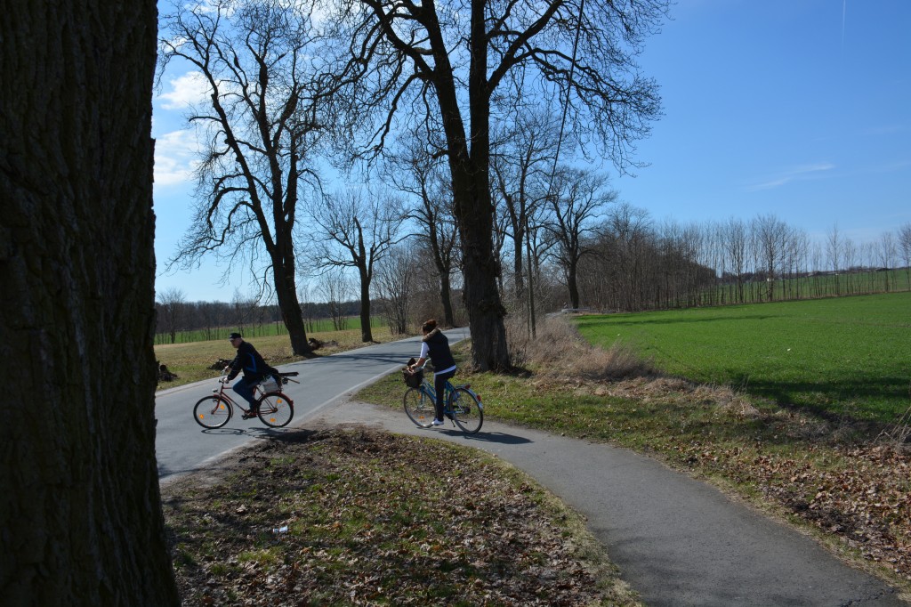 20130415_1416_DSC_0151-reduced40