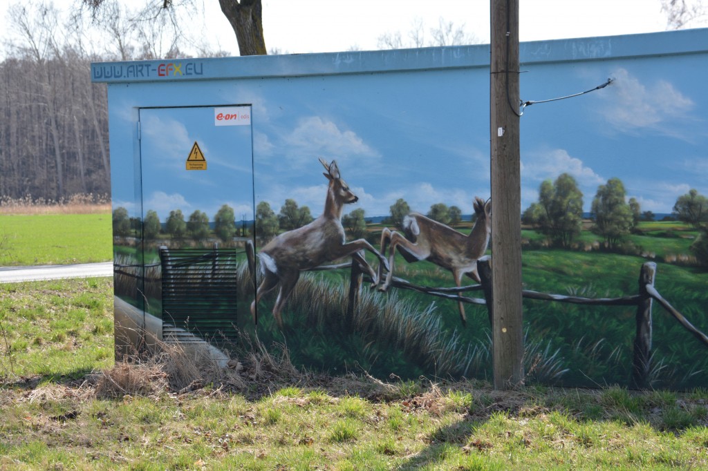 20130415_1417_DSC_0162-reduced40