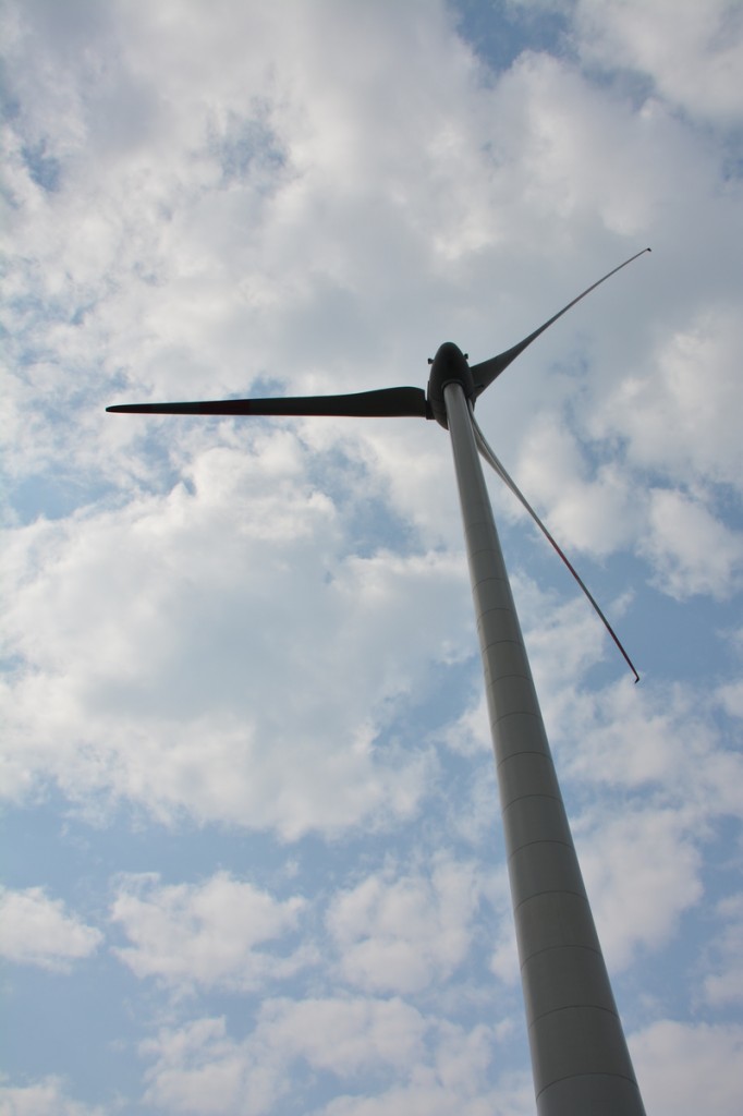 20130416_1336_DSC_0200-reduced20