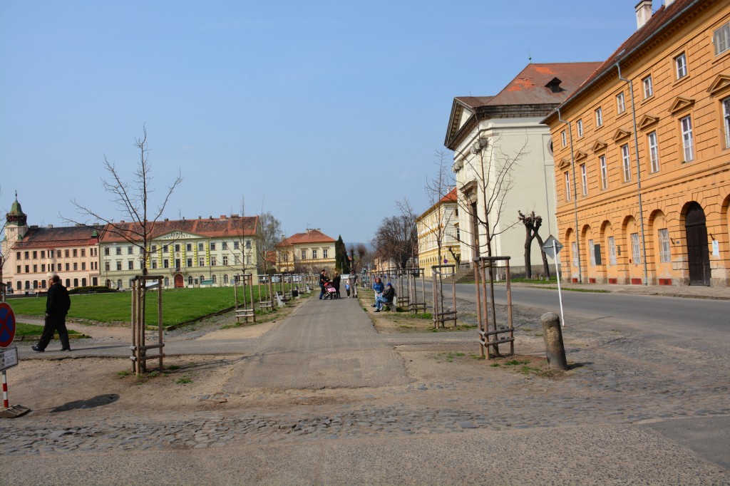 20130421_1448_DSC_0578-reduced30