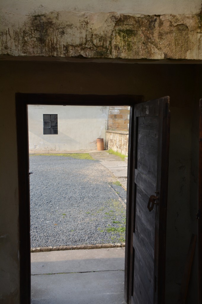 20130421_1704_DSC_0630-reduced30