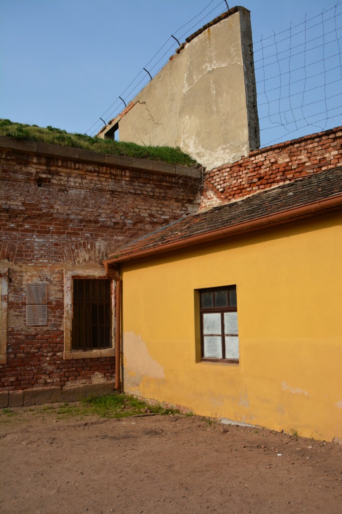 20130421_1721_DSC_0655-reduced30