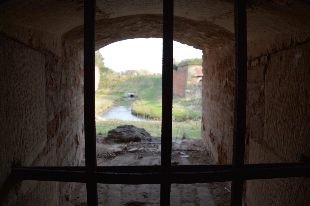 20130421_1747_DSC_0689-reduced30