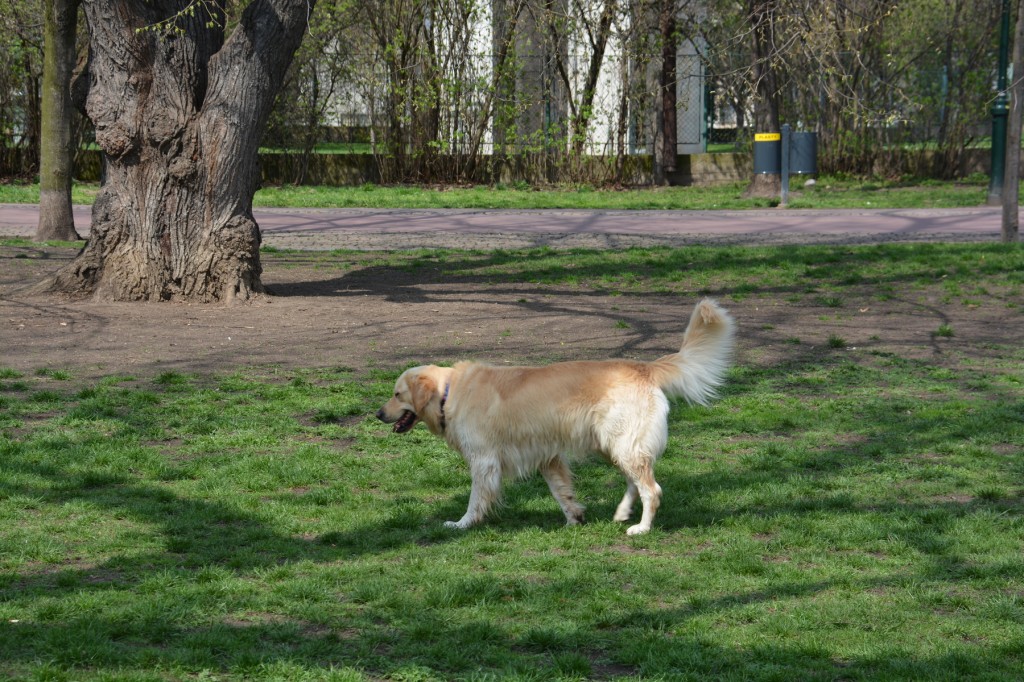 20130423_1353_DSC_0839-reduced30