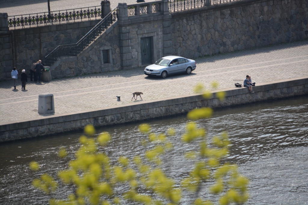 20130423_1357_DSC_0845-reduced30