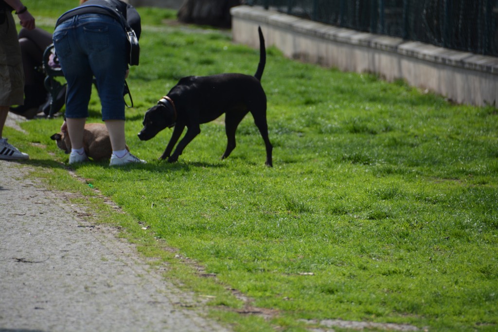 20130424_1124_DSC_0852-reduced30