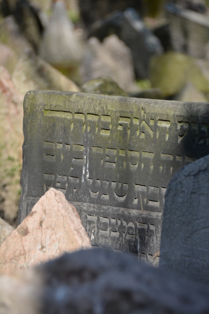 20130424_1524_DSC_0893-reduced30