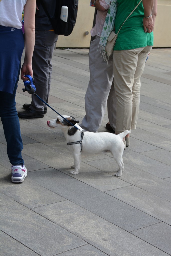 20130426_1222_DSC_0973-reduced30