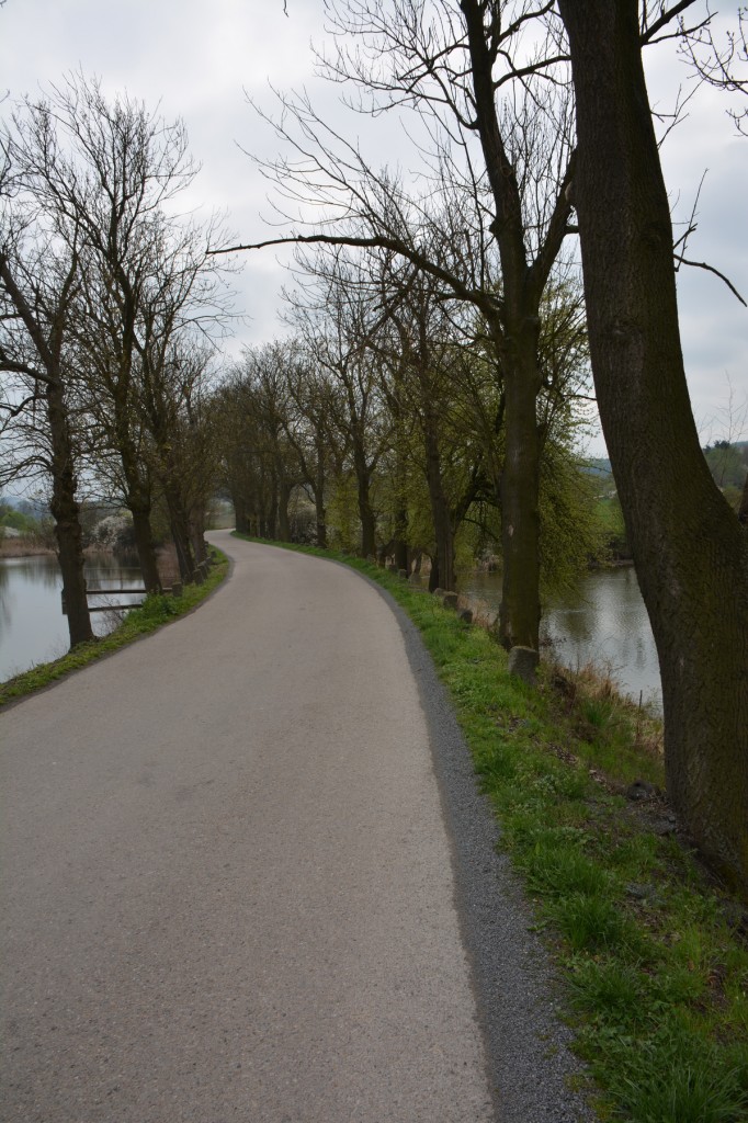 20130428_1523_DSC_1026-reduced30