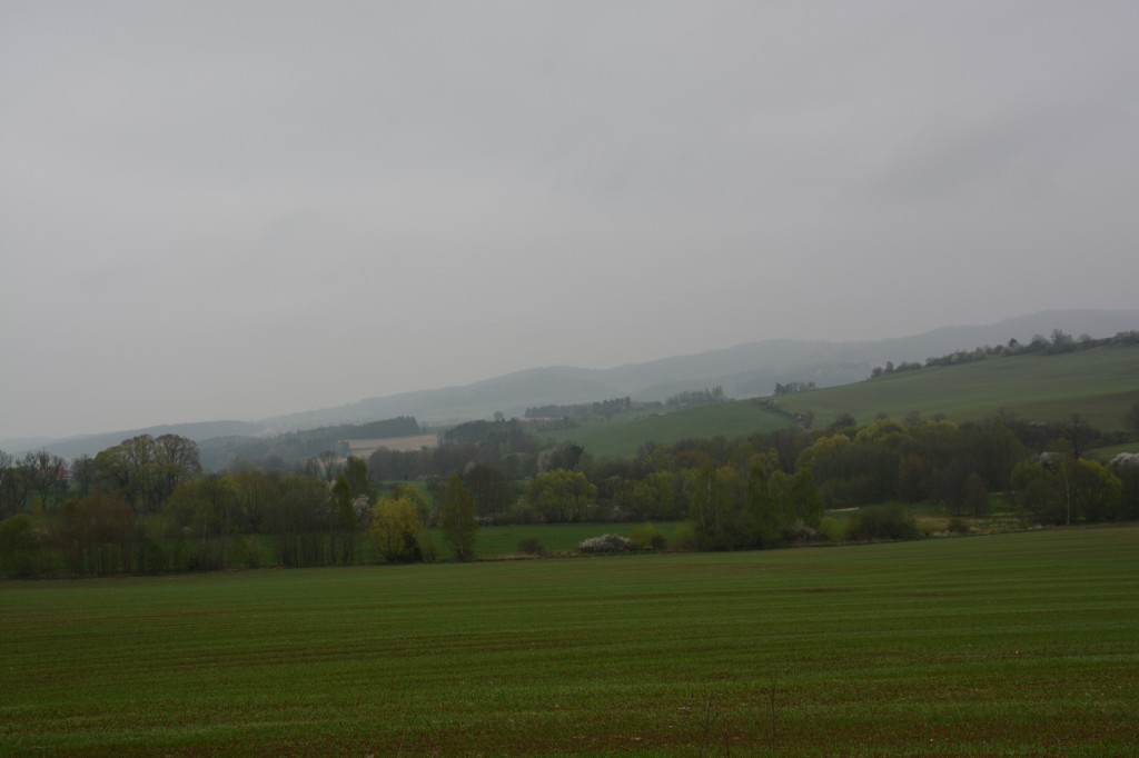 20130429_1059_DSC_1055-reduced30