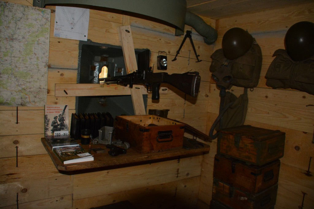 20130501_1008_DSC_1180-reduced30