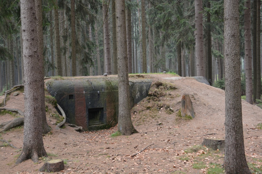 20130501_1014_DSC_1187-reduced30