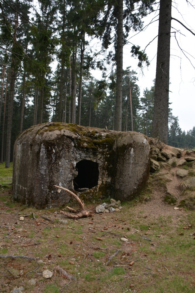 20130501_1019_DSC_1200-reduced30