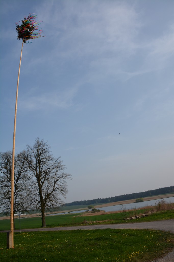 20130501_1556_DSC_1283-reduced30