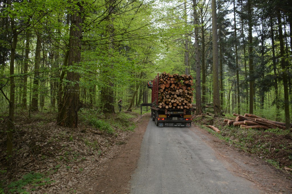 20130502_1041_DSC_1303-reduced30