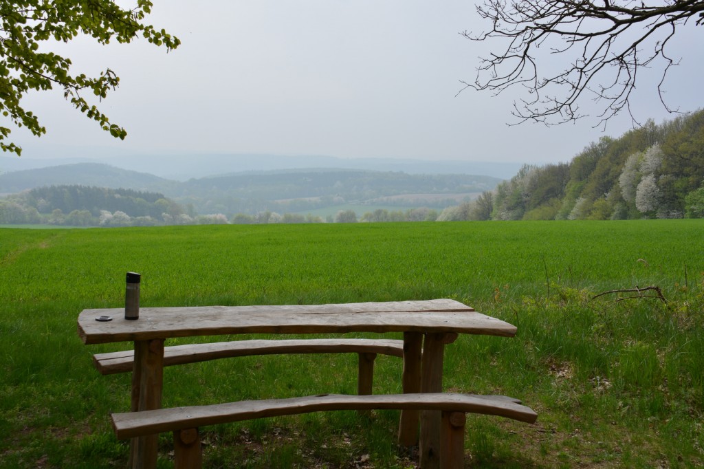 20130502_1112_DSC_1311-reduced30