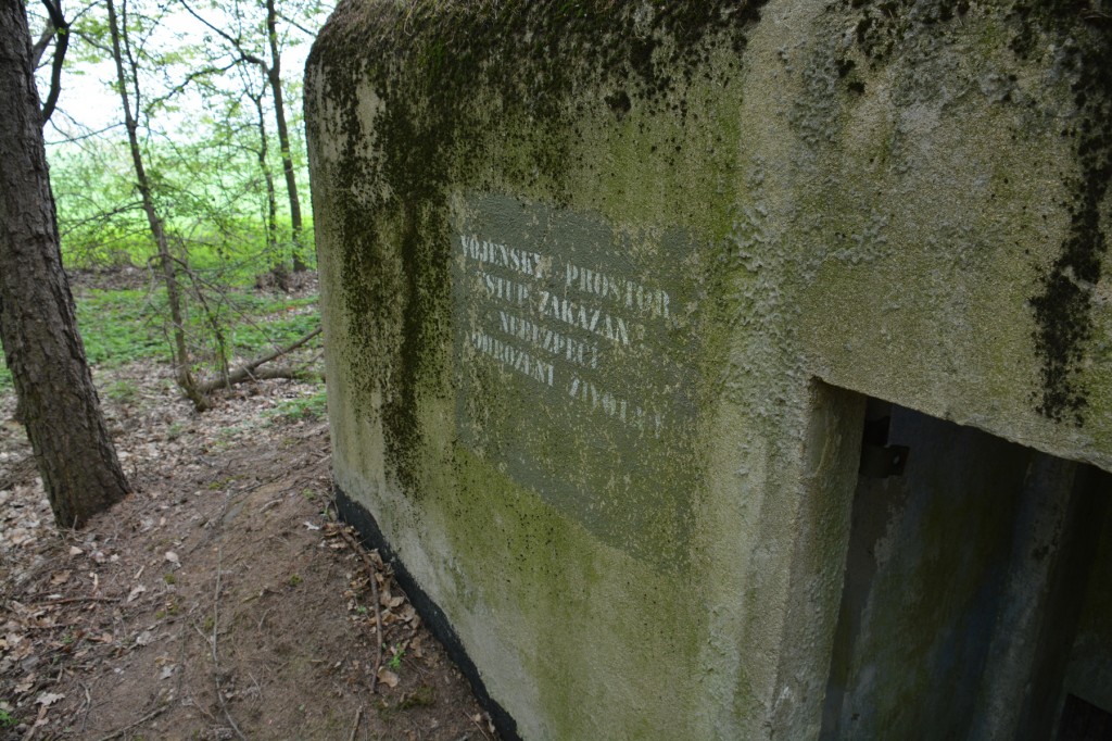 20130502_1153_DSC_1330-reduced30