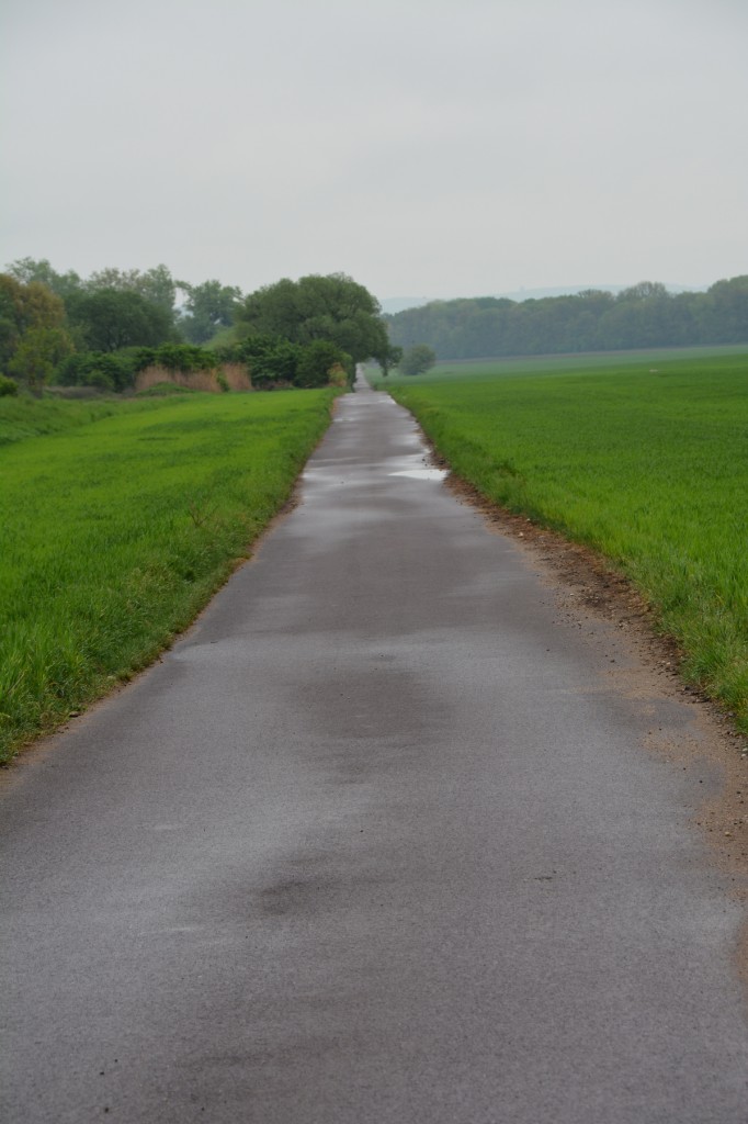 20130503_1107_DSC_1388-reduced30