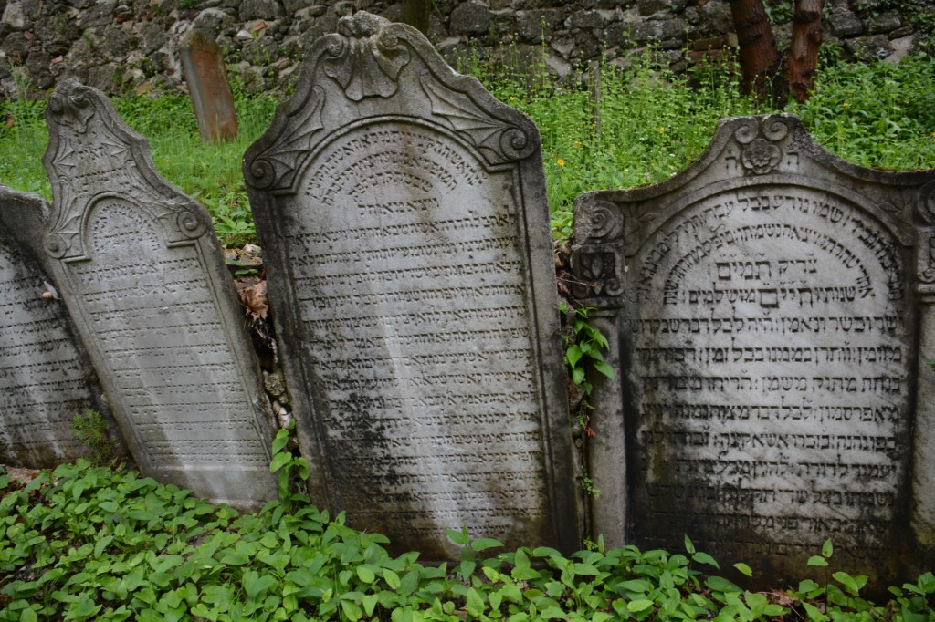 20130503_1358_DSC_1455-reduced30