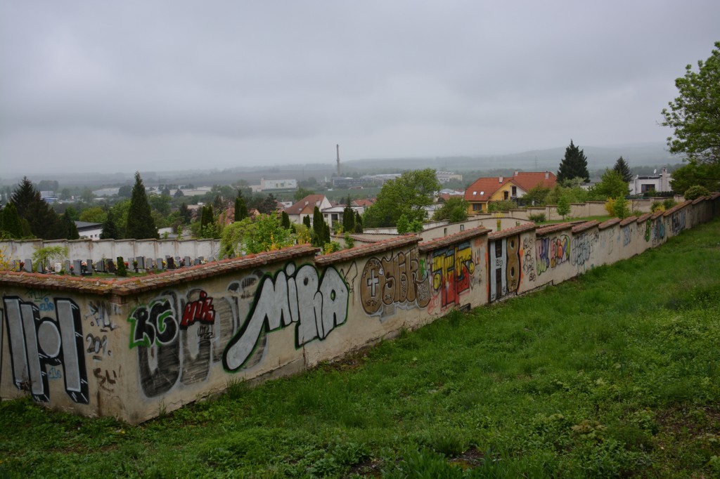 20130503_1406_DSC_1482-reduced30