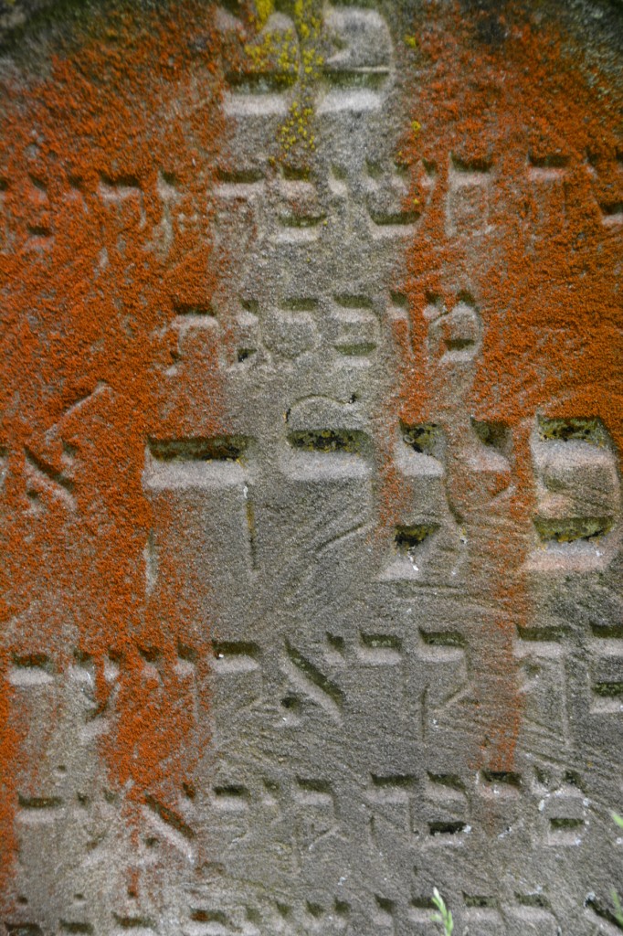 20130503_1407_DSC_1488-reduced30