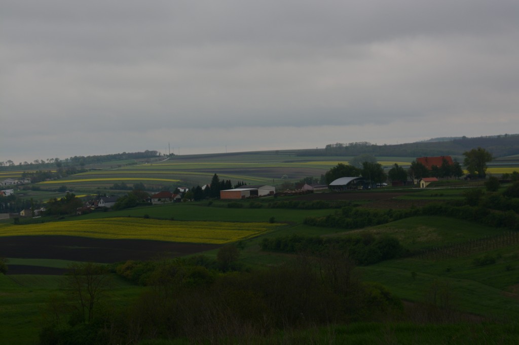 20130503_1555_DSC_1521-reduced30