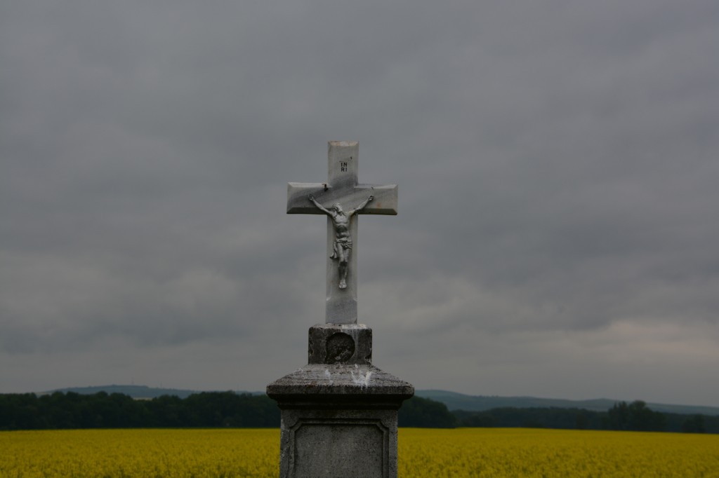 20130511_1224_DSC_1738-reduced30