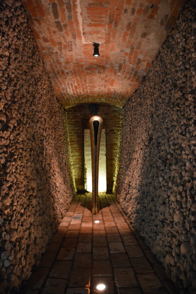 20130512_1245_DSC_1771-reduced30