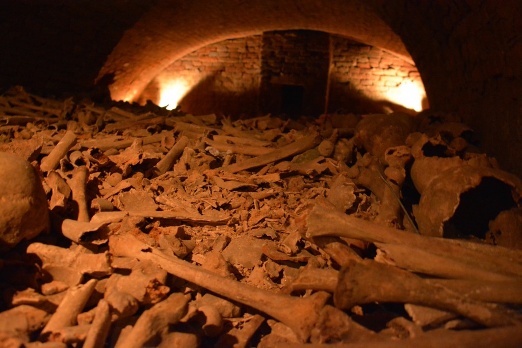 20130512_1256_DSC_1818-reduced30