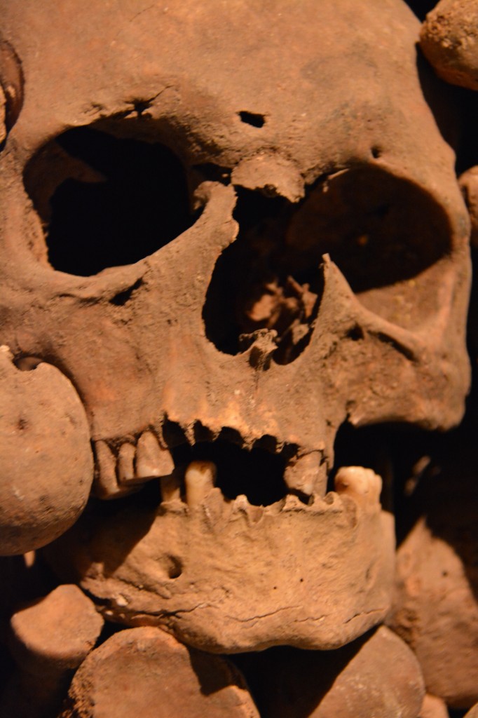 20130512_1302_DSC_1844-reduced30