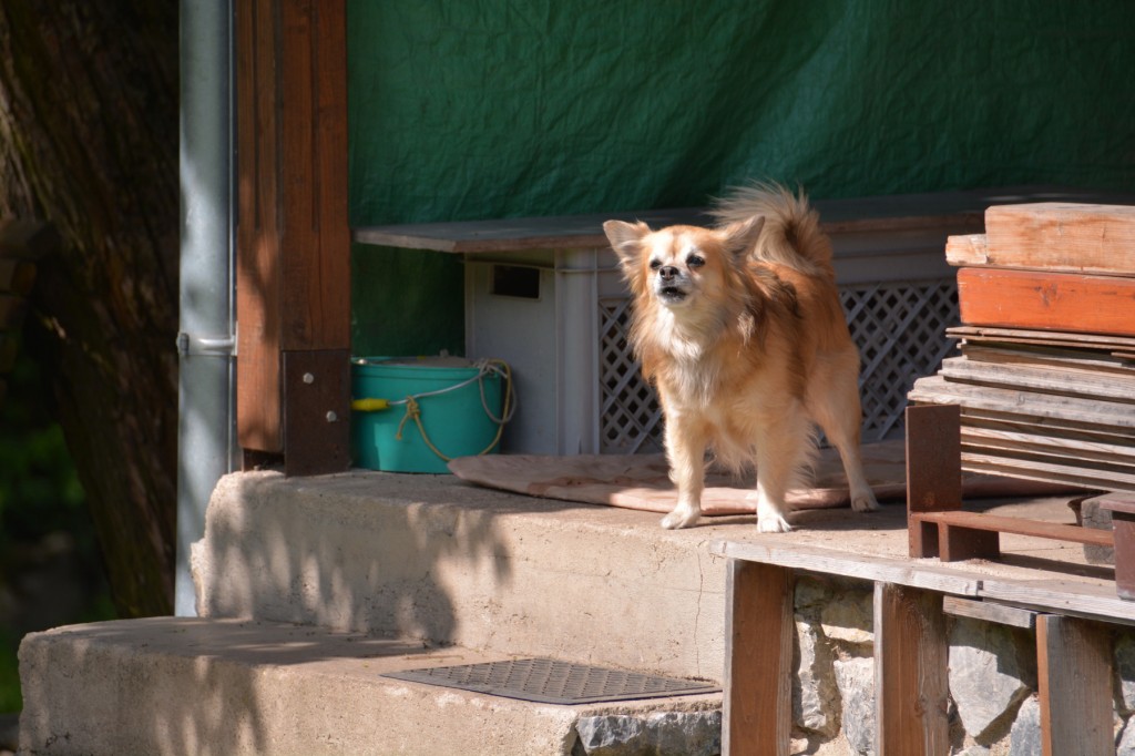 20130513_1010_DSC_1852-reduced30