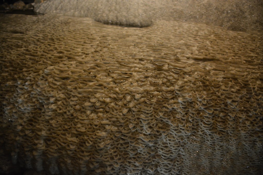 20130513_1319_DSC_1907-reduced30