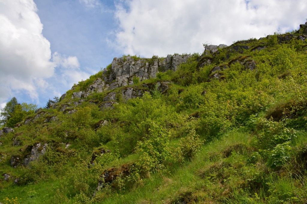 20130513_1447_DSC_1993-reduced30