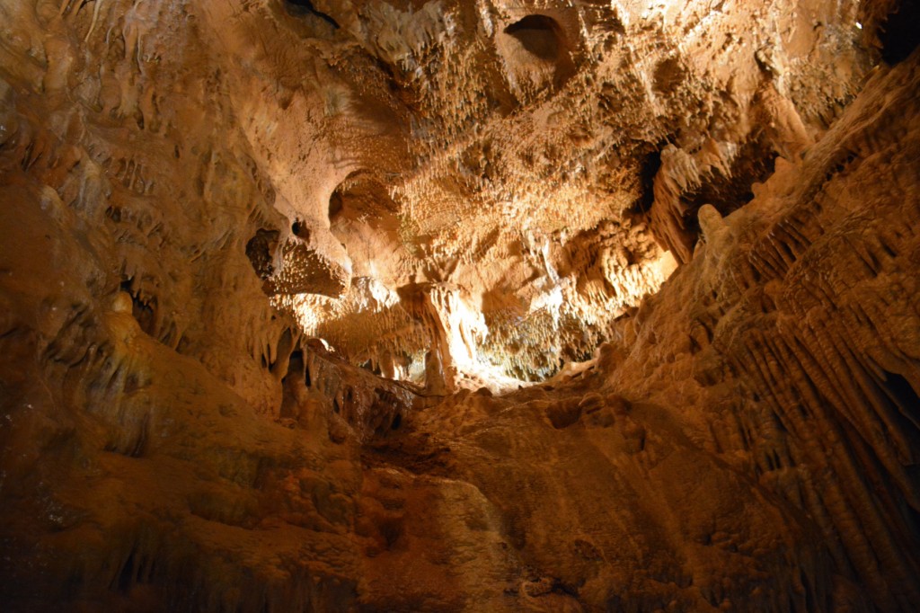 20130513_1517_DSC_2025-reduced30