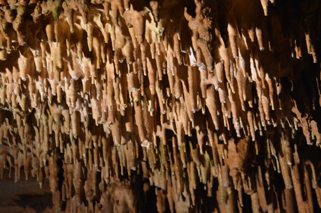 20130513_1523_DSC_2045-reduced30