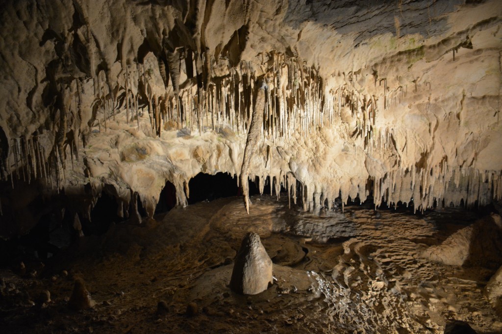 20130513_1529_DSC_2057-reduced30