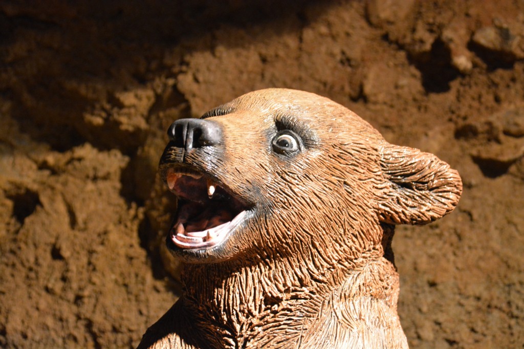 20130513_1534_DSC_2068-reduced30