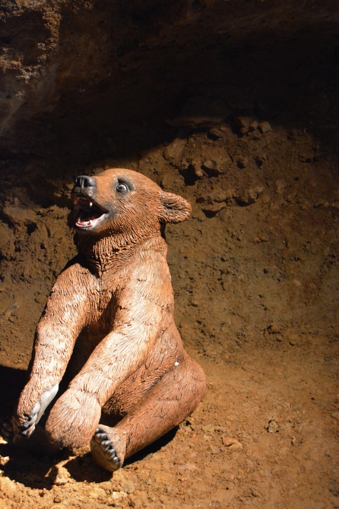 20130513_1534_DSC_2070-reduced30