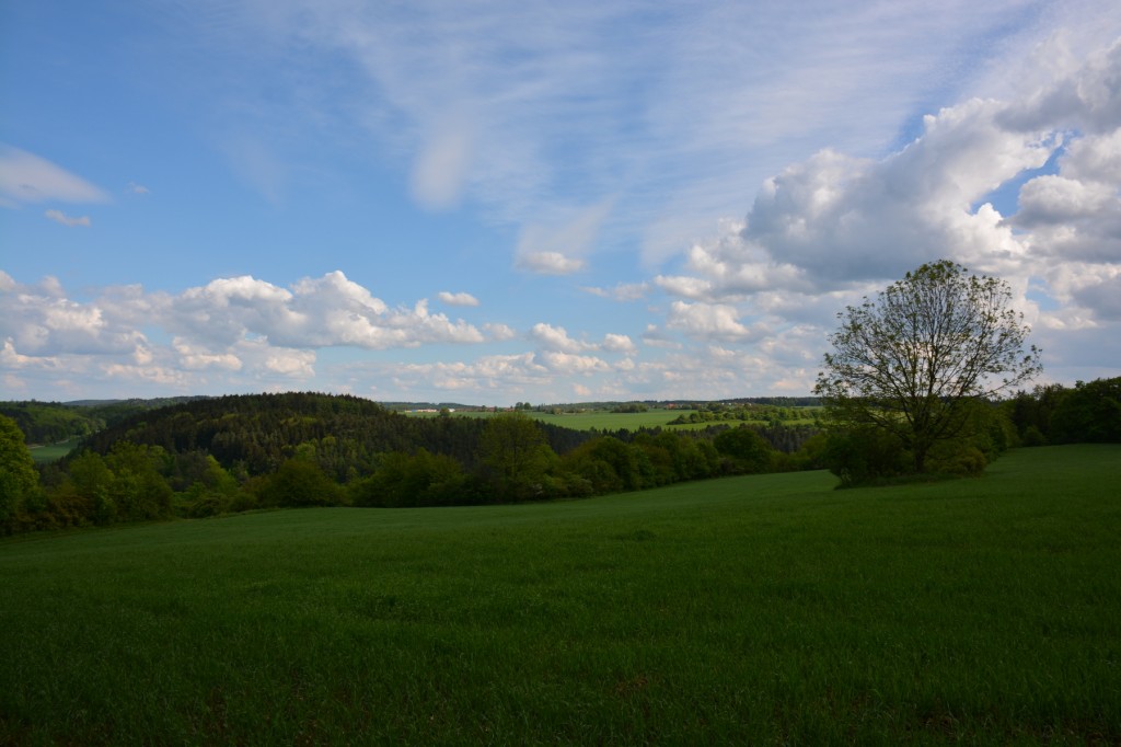 20130513_1620_DSC_2074-reduced30