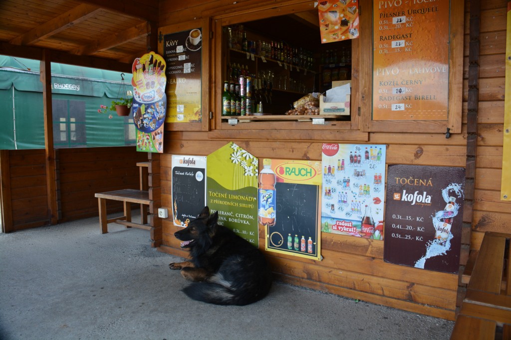 20130515_1220_DSC_2203-reduced30