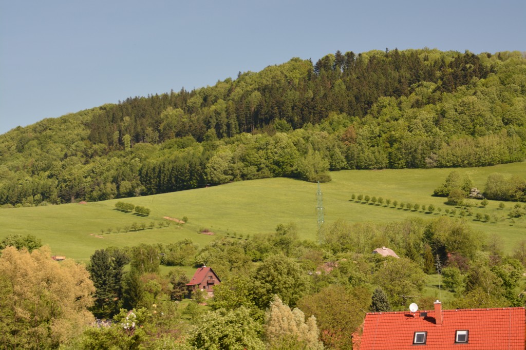 20130516_0956_DSC_2212-reduced30