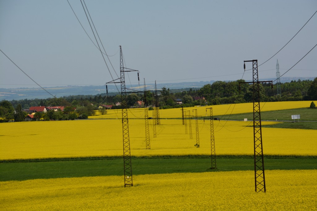 20130516_1021_DSC_2225-reduced30