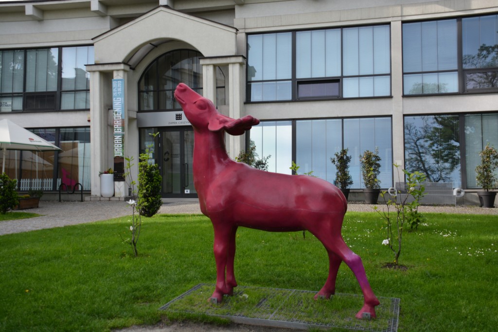 20130516_1748_DSC_2232-reduced30